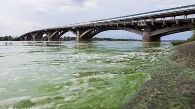 Затопило набережные и парки: в реке Днепр продолжается подниматься уровень  воды, - ФОТО, ВИДЕО | Новости