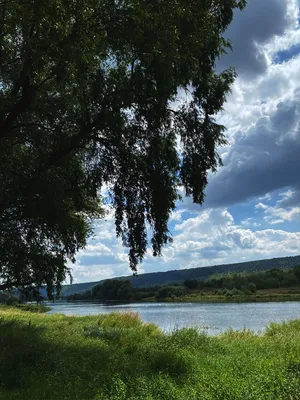 Уровень воды в Днестре, Молдова - Социальная сеть о рыбалке.