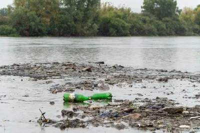 Днестр — река, ставшая канализацией. Что пьют жители Одессы и Кишинева?