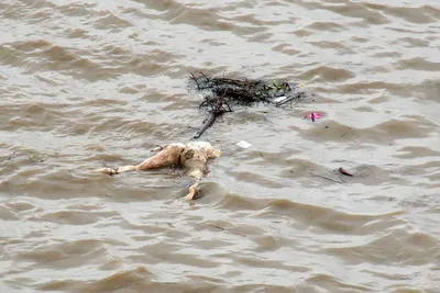 В Индии на берег Ганга вынесло десятки трупов. Они могут быть жертвами  коронавируса - NewsMaker