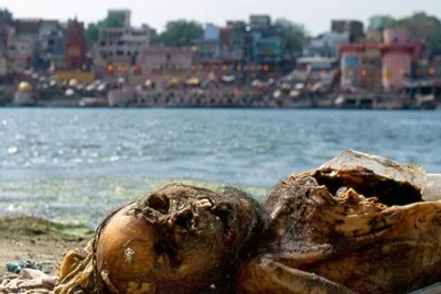 Почему индусы купаются в грязной реке Ганг | ТРИКСТЕР | Научно о религии |  Дзен