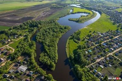 Старое русло реки Горынь в Давид-Городке | Планета Беларусь