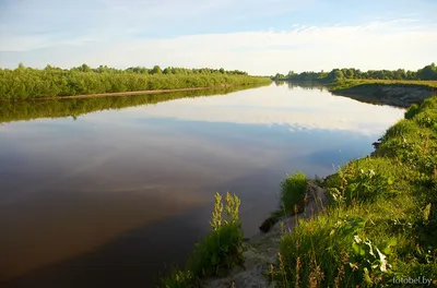 Река Горынь | Фотоэнциклопедия Беларуси
