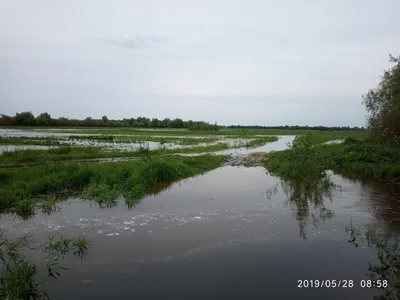 Закат на Горыни / Красивый закат тёплым летним вечером на реке Горынь