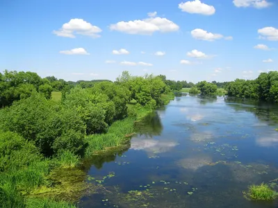 Море Геродота: реки Припять, Горынь и Льва | Планета Беларусь