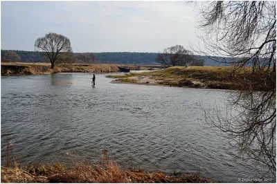 Минприроды назвало самые чистые и грязные реки Беларуси | «Лучшее в  Беларуси»