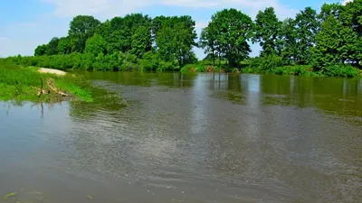 р. Горынь | Бережное (Столинский район) | Фотопланета