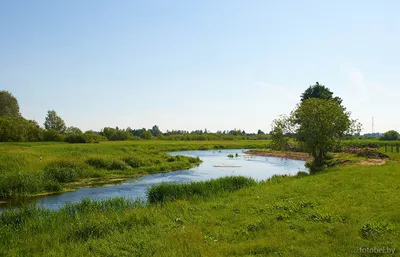 Реки Республики Беларусь