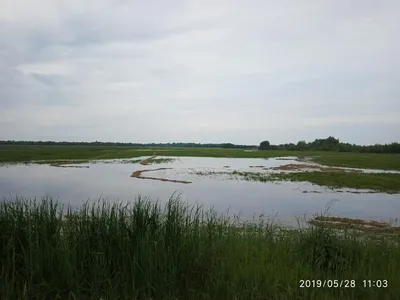 Из-за сезонного повышения уровня воды в реках в нескольких регионах Украины  масштабные подтопления | Прямий