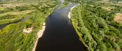 Виртуальная выставка «Стихия водная Полесья, твои преданья берегу я» —  Брестский областной краеведческий музей