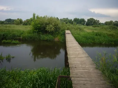 zakaznikistolin.by » Комбинированный туристический маршрут «Полесская  Амазонка»