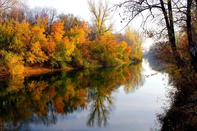 11 интересных рек для сплава в 350 км от Москвы — Блог «Спорт-Марафон»