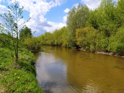 Була (река) — Википедия