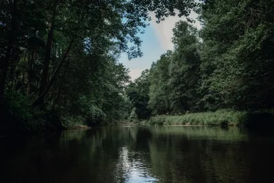 Замерзшая река. Фотограф Сергей