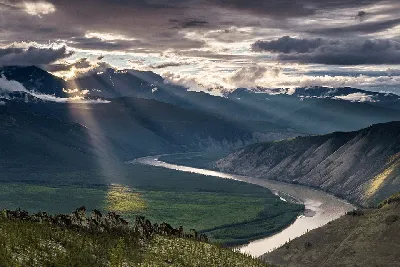 Индигирка и хребет Черского.. Фотограф Андрей Грачев