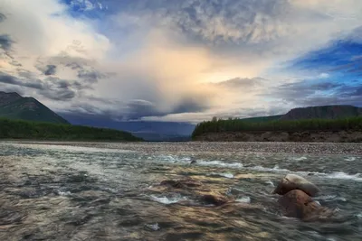 Водная артерия Якутии – река Индигирка | Новая жизнь | Дзен