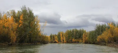 Минэкологии Якутии: Проверка качества воды в реке Индигирка не подтвердила  экстремально высокое загрязнение - Новости Якутии - Якутия.Инфо
