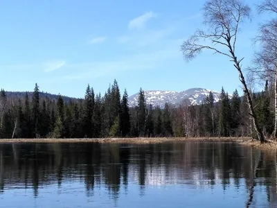 Абзановский водопад и река Инзер (видео) — Ураловед