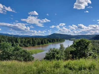 Река Инзер Башкортостан - 71 фото