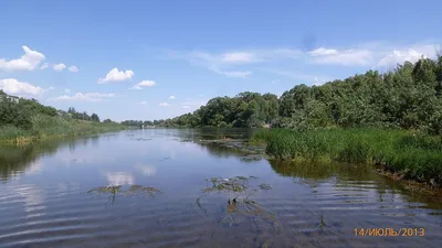 Великие реки России: Иртыш - ВОДА РОССИИ