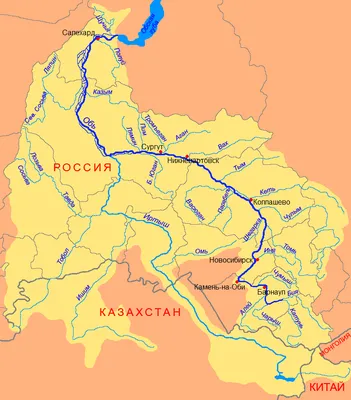 Почему на реке Иртыш появился песчаный остров - 19 октября 2022 - НГС55.ру