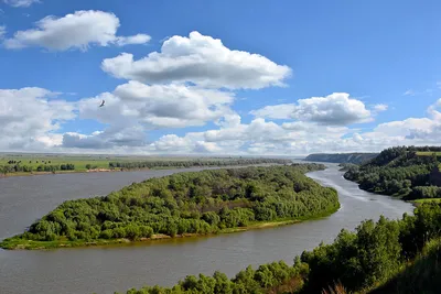 В Омской области река Иртыш снова обмелеет | ОБЩЕСТВО | АиФ Омск
