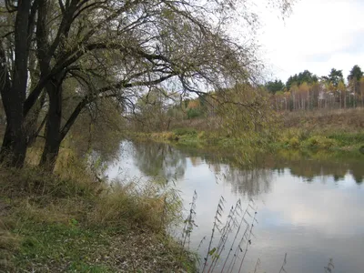 Истра (река) — Википедия