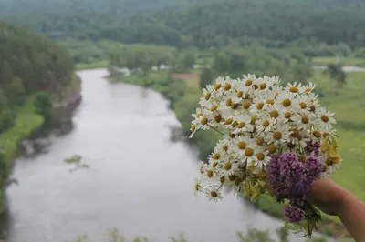 Сплав по реке Юрюзань | МАУ ДО Центр туризма, экскурсий и краеведения