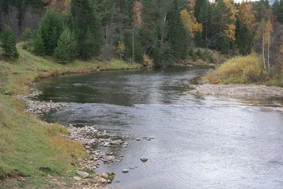 Сплав по реке Юрюзань