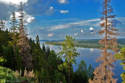 Файл:Река Кама в районе впадения Белой.jpg — Википедия