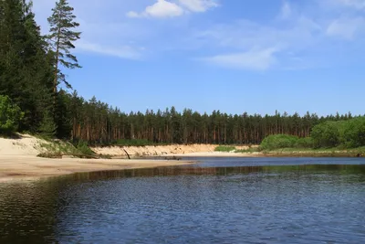 📷 Река Керженец в 5 км к северу от Рустая (правый берег)