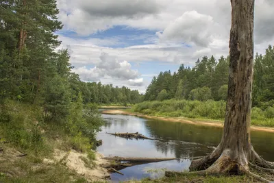 река Керженец — Фото №204053