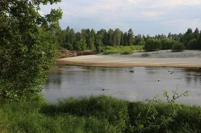 Сплав по реке Керженец