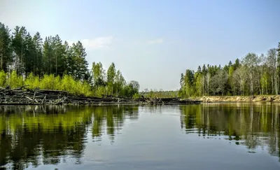 Сплав на байдарках по реке Керженец 2021 - YouTube