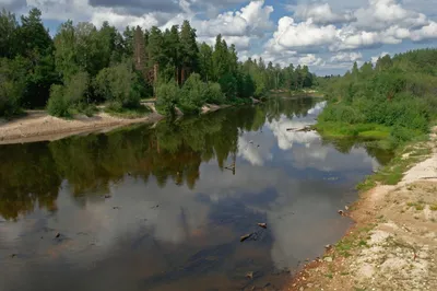 Староверы: река Керженец. | Старгород. | Дзен