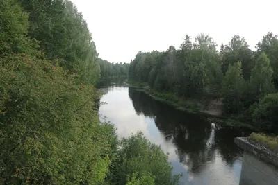 Река Керженец, Нижегородская область | Красивые места, Места, Природа