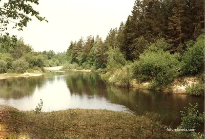 Сплав по реке Керженец в Нижегородской области — фото, описание на GoRu