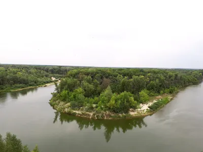 Видовые места Хопёрского заповедника на реке Хопёр