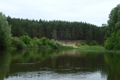 Водный сплав по реке Хопёр от пос. Новохоперск до г. Серафимович (длина 378  км) | Tripmir