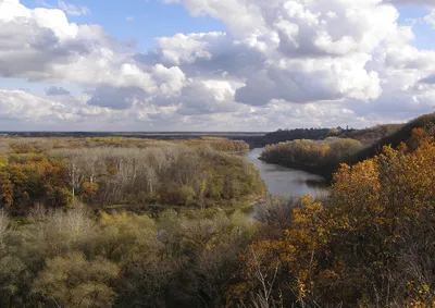 Река Хопёр» — создано в Шедевруме