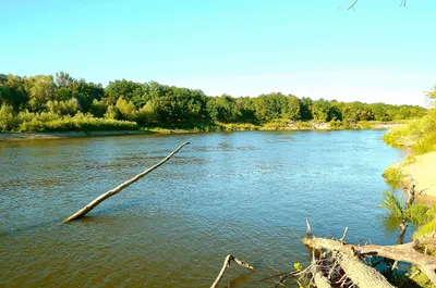 Водный сплав по реке Хопёр от села Сосновка до г. Борисоглебск ( длина 405  км) | Tripmir