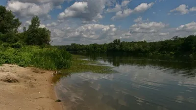 В Поворинском районе в реке Хопер утонули муж и жена