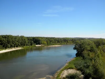 Река Хопер - живописное место нашей области | О грибах и путешествиях | Дзен