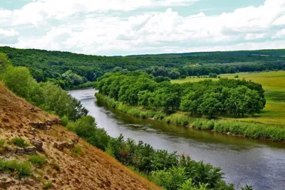 В реке Хопер в Воронежской области утонул 19-летний волгоградец