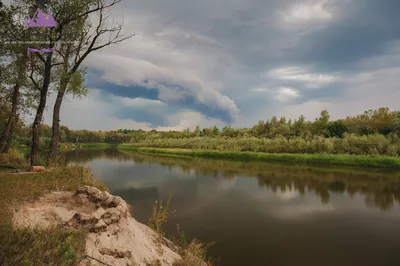 Проведены исследования реки Хопер около Беково | Русское географическое  общество