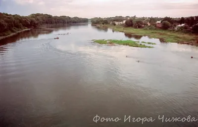 Завершился очередной этап расчистки русла реки Хопер в Балашовском районе