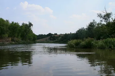 Река Хопер Балашов (Много фото) - treepics.ru