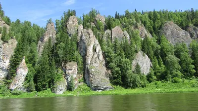Река Кия. :: Владимир Мигонькин – Социальная сеть ФотоКто