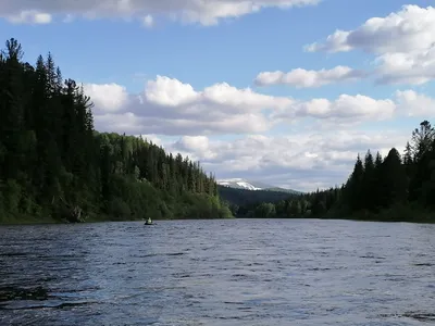 Река Кия: последние новости на сегодня, самые свежие сведения | ngs42.ru -  новости Кузбасса