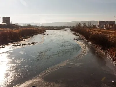 Библиотечный портал Кемеровской области